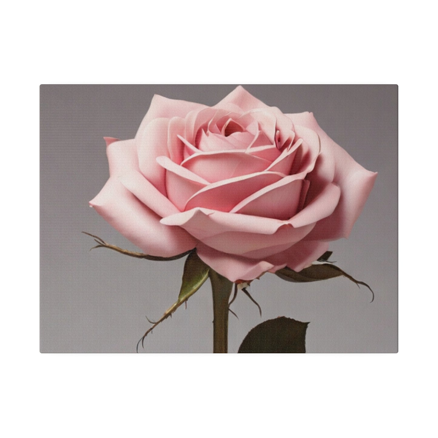 Pink Rose - Matte Canvas, Stretched, 0.75"