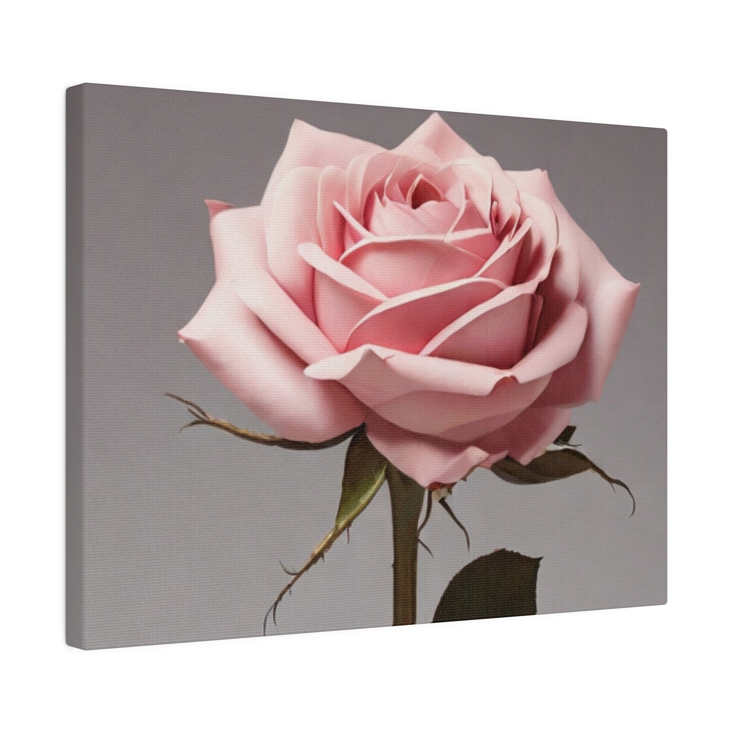 Pink Rose - Matte Canvas, Stretched, 0.75"