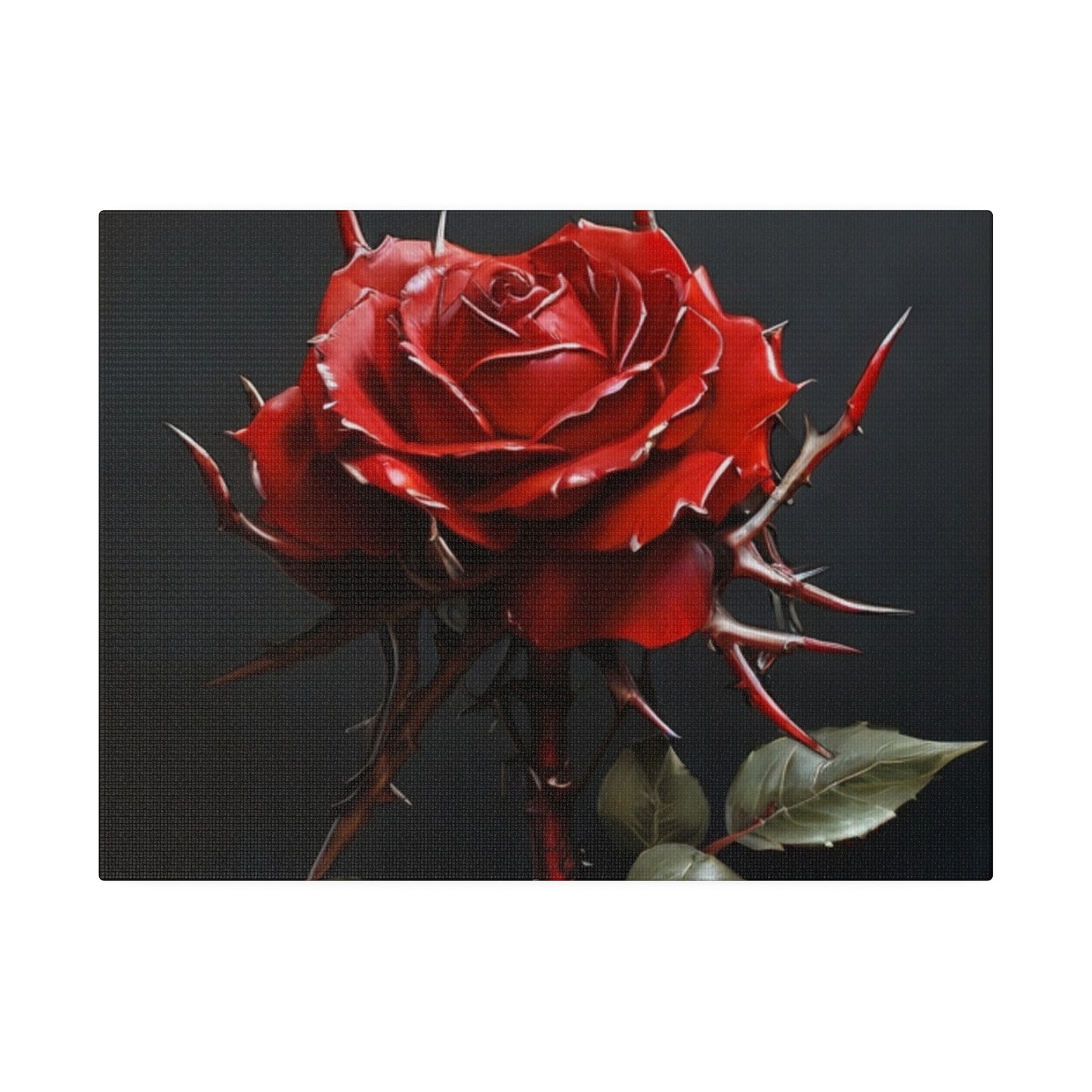 Thorny Red Rose - Matte Canvas, Stretched, 0.75"