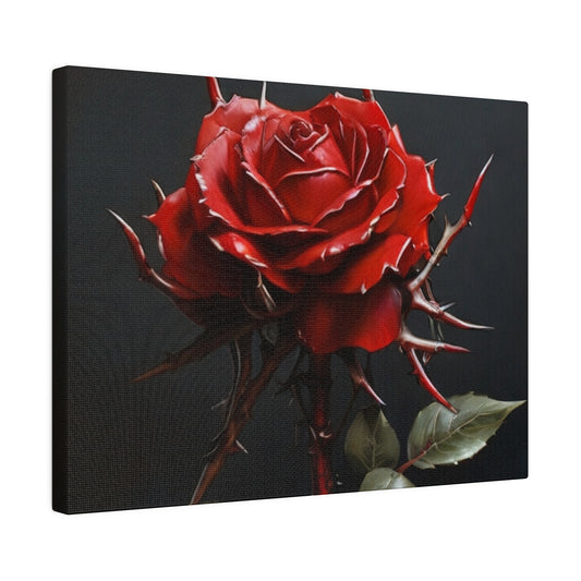 Thorny Red Rose - Matte Canvas, Stretched, 0.75"
