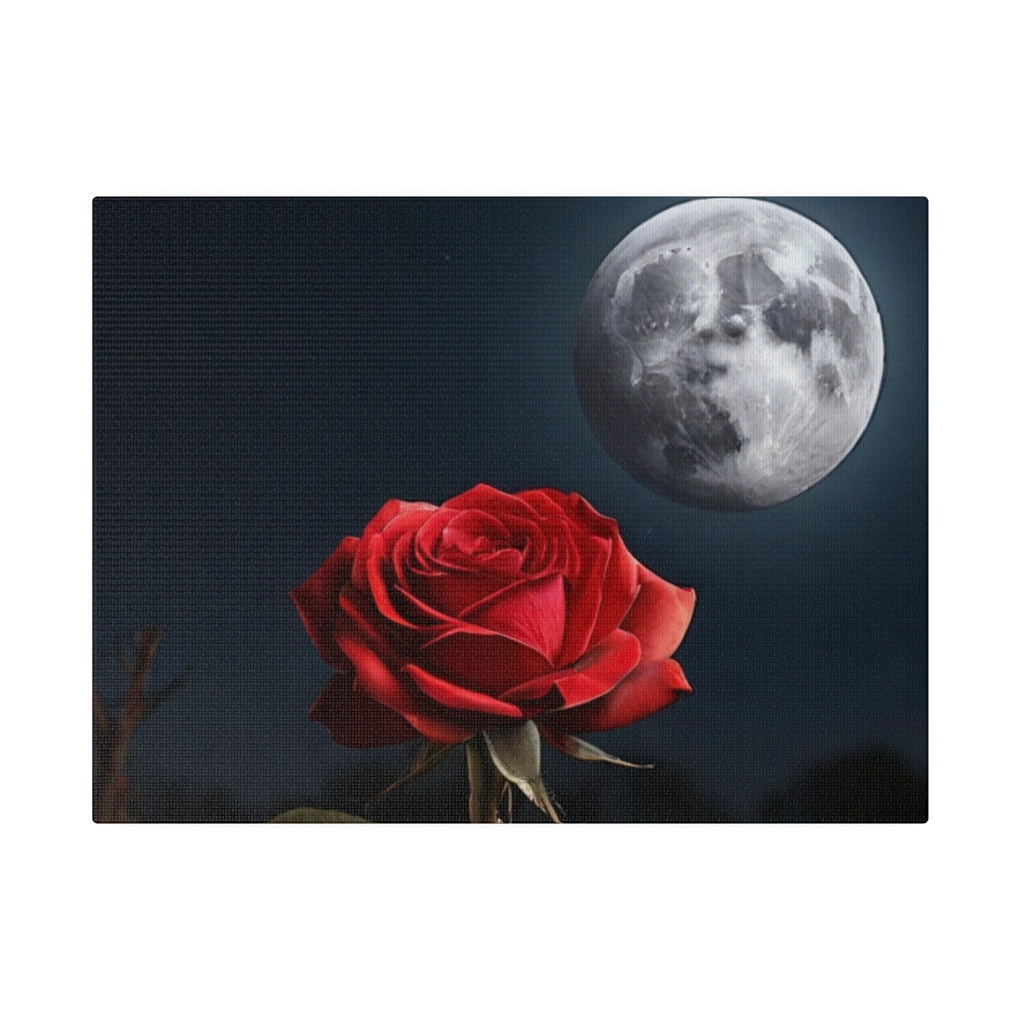 Red Rose Under Moonlight - Matte Canvas, Stretched, 0.75"