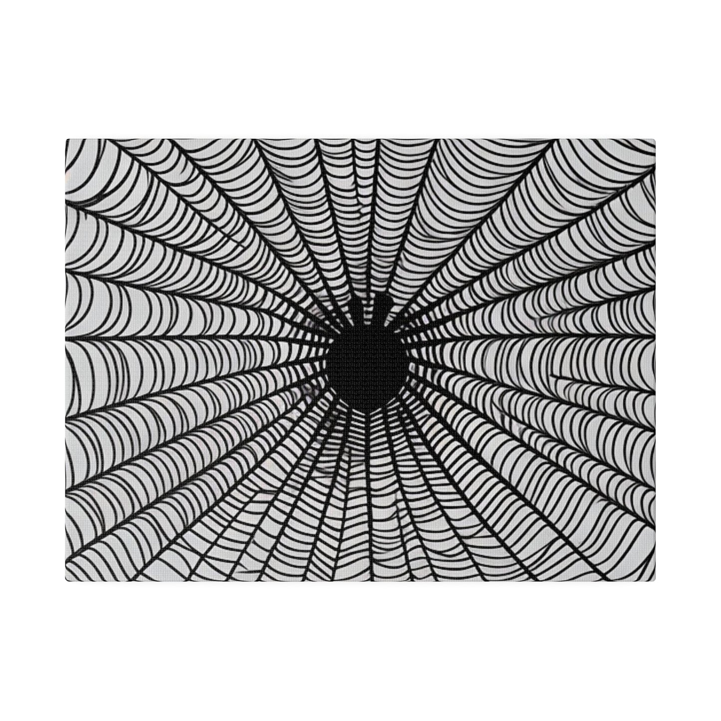 Black and White Spiderweb - Matte Canvas, Stretched, 0.75"
