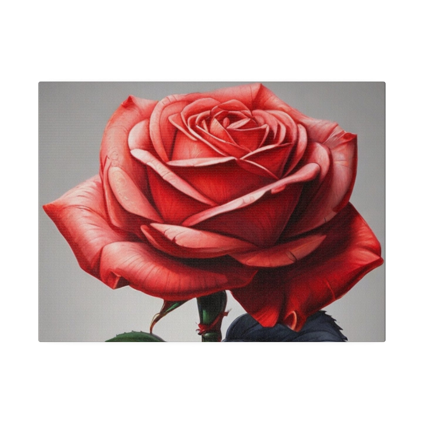 Large Red Rose - Matte Canvas, Stretched, 0.75"